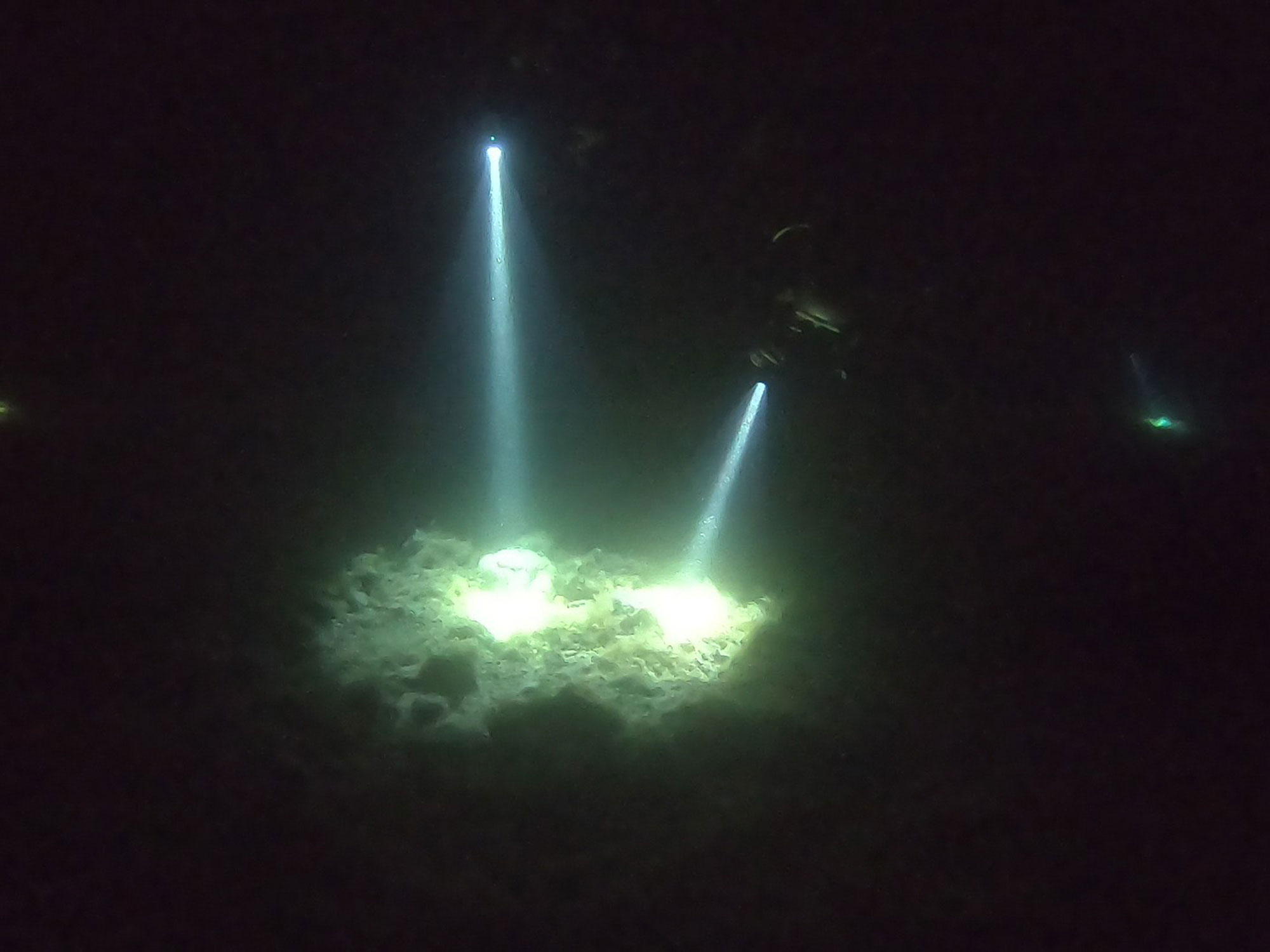 Night diver specialty * scuba dive in Split Venus Diving Center